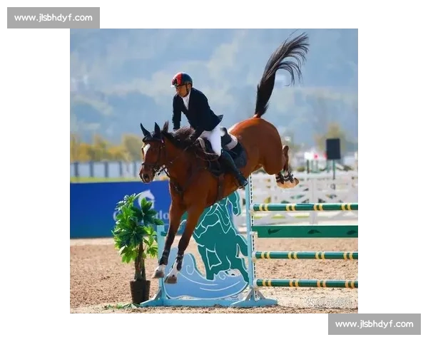 马术比赛中的技巧与激情探索:从赛场到马匹训练的全方位剖析